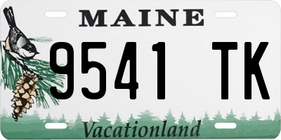 ME license plate 9541TK