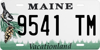 ME license plate 9541TM