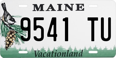 ME license plate 9541TU