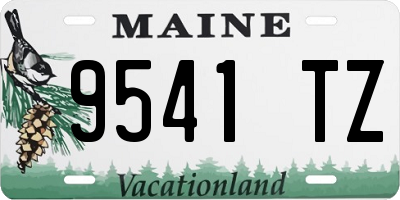 ME license plate 9541TZ