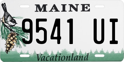 ME license plate 9541UI