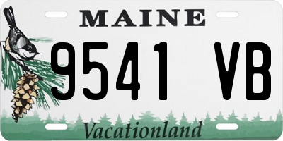 ME license plate 9541VB