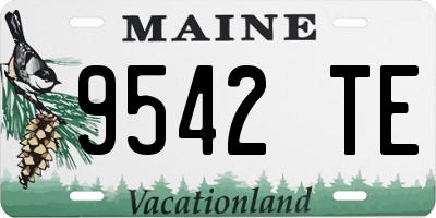 ME license plate 9542TE