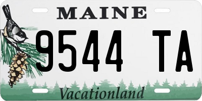 ME license plate 9544TA