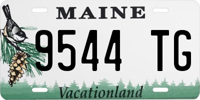 ME license plate 9544TG