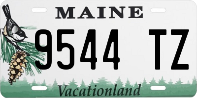 ME license plate 9544TZ