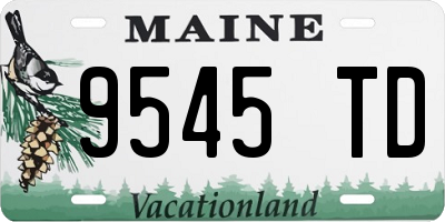 ME license plate 9545TD