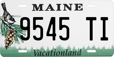 ME license plate 9545TI