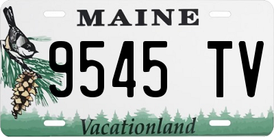 ME license plate 9545TV