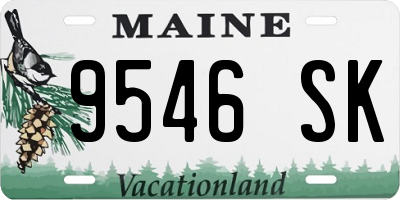 ME license plate 9546SK