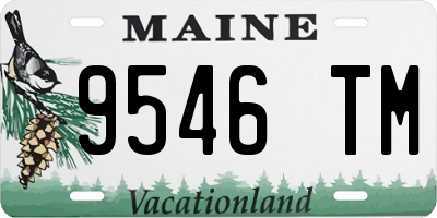 ME license plate 9546TM
