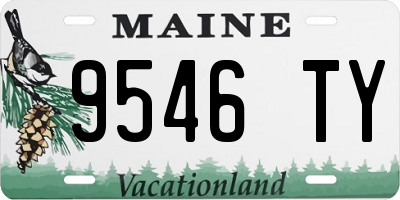 ME license plate 9546TY
