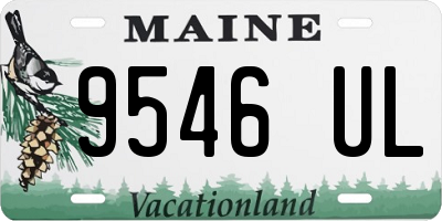 ME license plate 9546UL