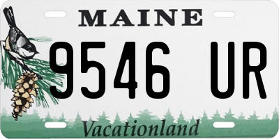 ME license plate 9546UR