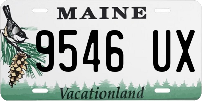 ME license plate 9546UX