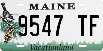 ME license plate 9547TF