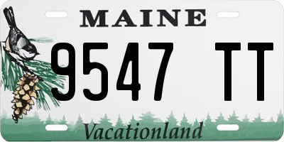 ME license plate 9547TT