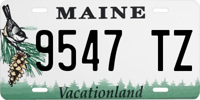 ME license plate 9547TZ