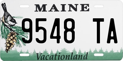 ME license plate 9548TA