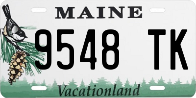 ME license plate 9548TK