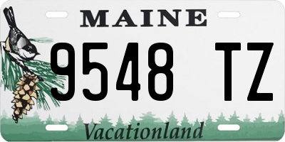 ME license plate 9548TZ