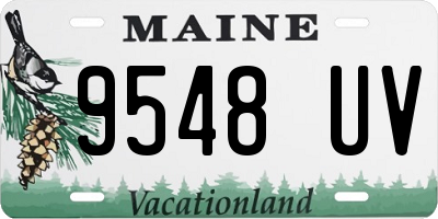 ME license plate 9548UV