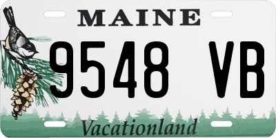 ME license plate 9548VB
