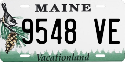 ME license plate 9548VE