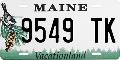 ME license plate 9549TK