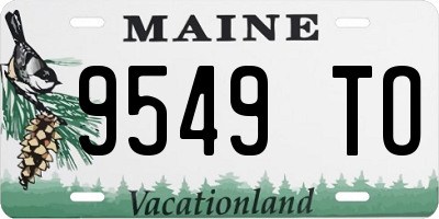 ME license plate 9549TO