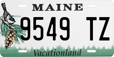 ME license plate 9549TZ