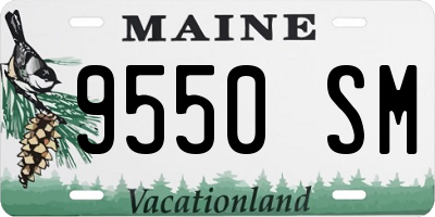 ME license plate 9550SM