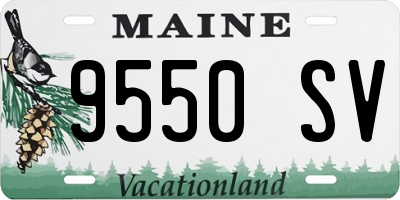 ME license plate 9550SV