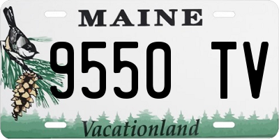 ME license plate 9550TV
