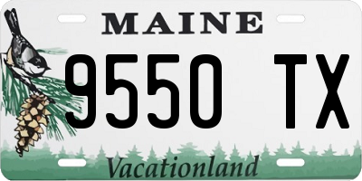 ME license plate 9550TX