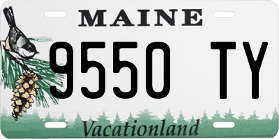 ME license plate 9550TY