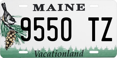 ME license plate 9550TZ