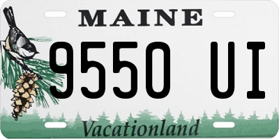 ME license plate 9550UI