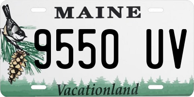 ME license plate 9550UV