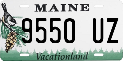 ME license plate 9550UZ