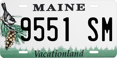 ME license plate 9551SM