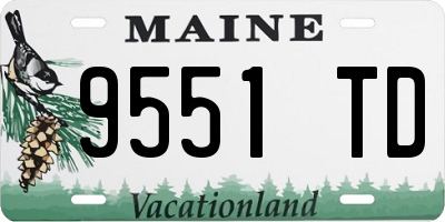 ME license plate 9551TD