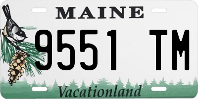 ME license plate 9551TM