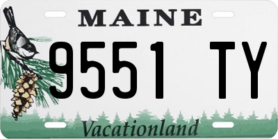 ME license plate 9551TY
