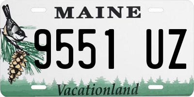 ME license plate 9551UZ