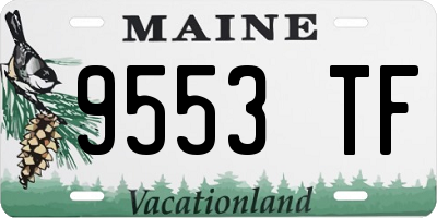 ME license plate 9553TF