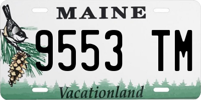 ME license plate 9553TM