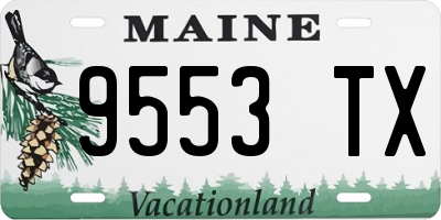 ME license plate 9553TX