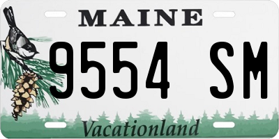 ME license plate 9554SM