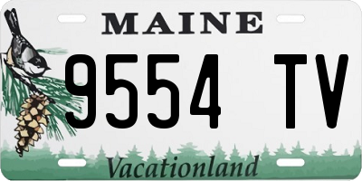 ME license plate 9554TV